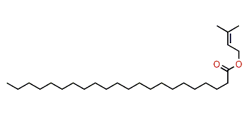 3-Methyl-2-butenyl docosanoate